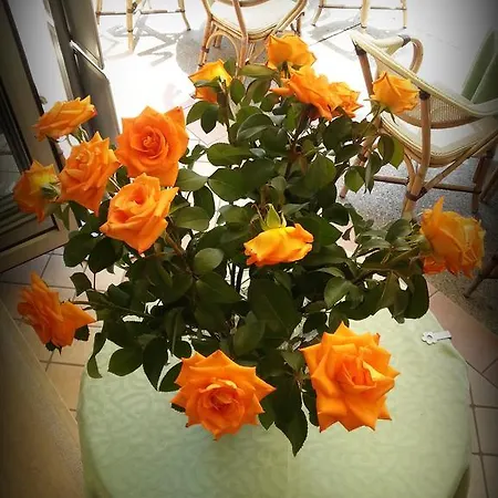 Zen 2* Lignano Sabbiadoro