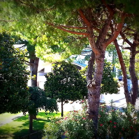 Zen Hotel Lignano Sabbiadoro